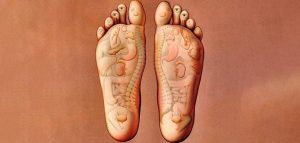 puntos concretos y terminaciones nerviosas del pie que están conectadas con algún sistema u órgano